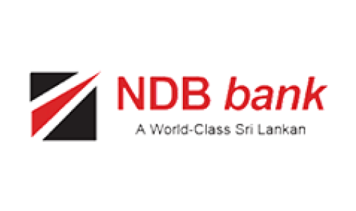 NDB 300x500
